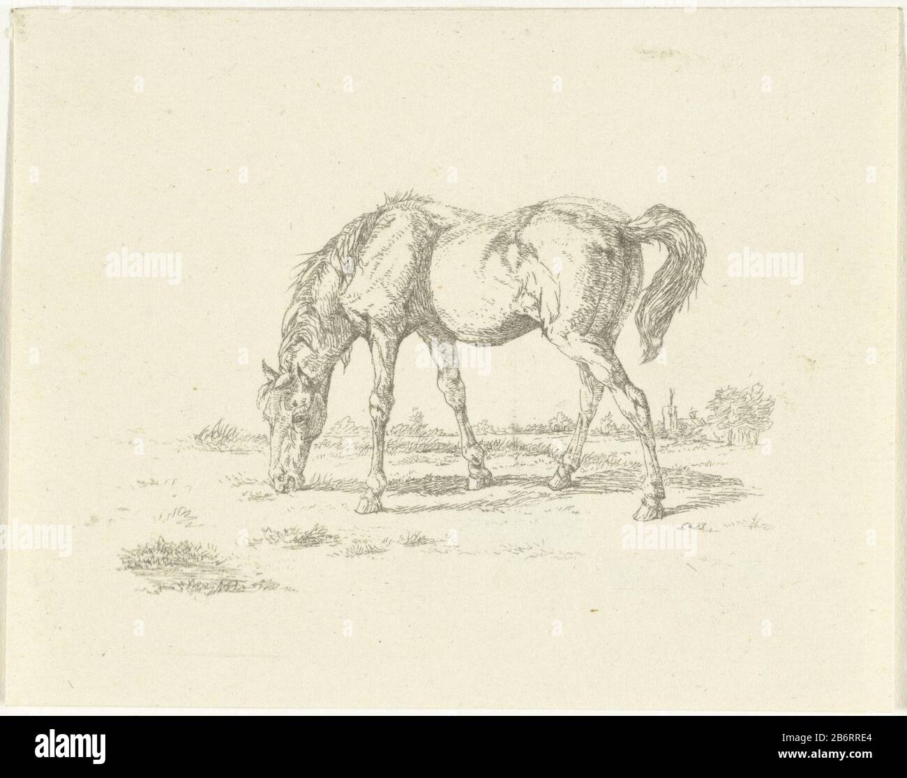 Grazend Paard naar reizt das Weidepferd auf den richtigen Objekttyp: Bild Artikelnummer: RP-P-1882-A-4984Katalogusreferentie: Hippert & Linnig 1Hinweis: Zum Drucken erster Staatsinschriften / Marken: Sammlermarke, Verso, gestempelt: Lugt 1962 Sammlermarke, Verso, gestempelt: Lugt 2227 Hersteller: Jan Pladtats: Amsterdam Hersteller: Jan Pladtats: Herstellung: Jan Dasset 1.880 - 1.755 Physische Merkmale: Gegendruckätzmaterial: Papiertechnik: Gegendruckmaße: Blatt: H 77 mm × W 97 mm Betreff: Pferd Stockfoto