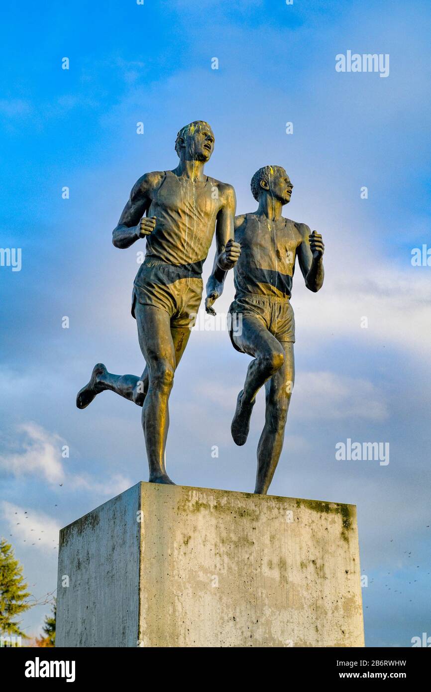 Miracle Mile Statue, Empire Field, Hastings Park, Vancouver, British Columbia, Kanada, Zum Gedenken an weniger als 4-minütige Meile von Roger Bannister und Joh Stockfoto