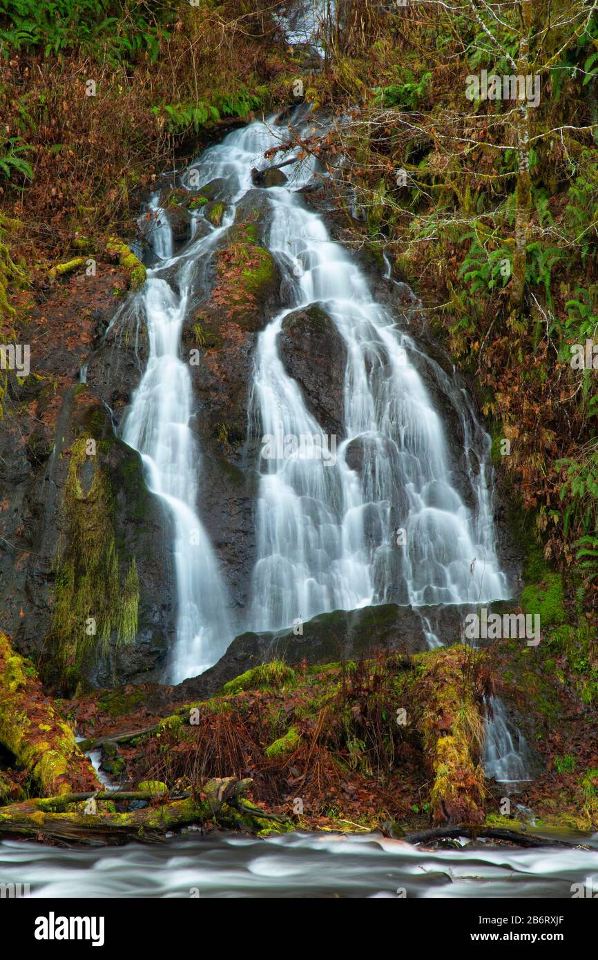 Wasserfall am Alder Glen Campground, Nestucca River State Scenic Waterway, Nestucca Back Country Byway, Oregon Stockfoto