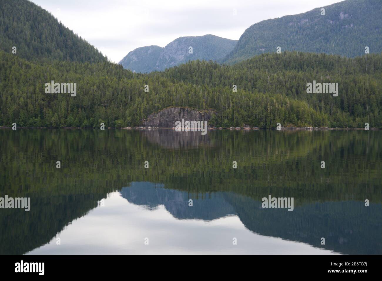 Küstenregenwald und Berge spiegelten sich im Pazifischen Ozean am Roscoe Inlet, im Great Bear Rainforest, British Columbia Coast, Kanada, wider. Stockfoto