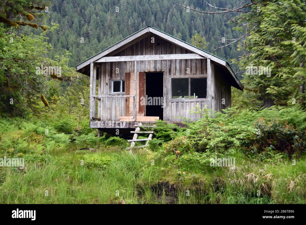Eine rustikale Hinterlandholzhütte in der Region Great Bear Rainforest an der Central Coast von British Columbia, Kanada. Stockfoto