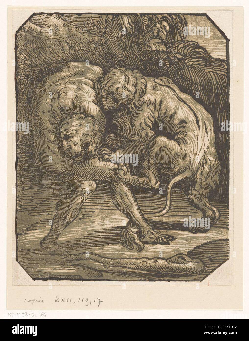 In einer Landschaft kämpft Herkules gegen den Nemeischen Löwen. Im Vordergrund des Vereins Herkules. Hersteller: Druckmaschine: Anonym zu drucken von: Niccolò Vicentinaar Design: Rafael Ort Herstellung: Italien Datum: Auf oder nach ca. 1540 Physische Merkmale: Chiaroscuro Holzschnitt in schwarz und braun; bedruckt einen Holzschnitt und einen Holztonblock Material: Papiertechnik: Chiaroscuro-Holzschnitt Abmessungen: Blatt: H 198 mm × W 158 mm Betreff: (1) Herkules würgt den Nemeischen Löwen mit seinen Armen Stockfoto