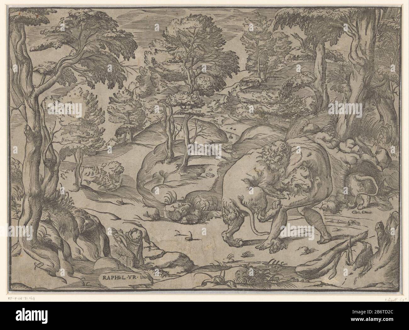 In einer Hügellandschaft kämpft Herkules gegen den Nemeischen Löwen. Rechts krabbelt eine zweite Löwenhöhle, im Vordergrund steht der Herkulesverein. Hersteller: Druckmaschine: Anonymer Entwurf von: Rafael (börsennotiertes Eigentum) Ort Herstellung: Italien Datum: Auf oder nach 1493 Material: Papiertechnik: Holzschnitt Abmessungen: Blatt: H 302 mm × W 413 mm Betreff: (1) Herkules würgt den Nemeischen Löwen mit seinen Armen Stockfoto