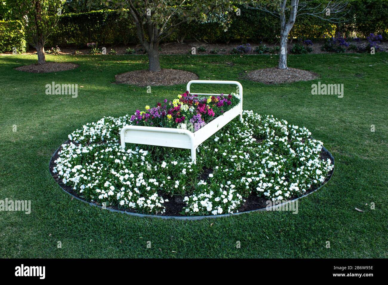 Rundes Blumenbeet mit dekorativem Bett, weißen Gardenien, grünem Gras, Bäumen Stockfoto