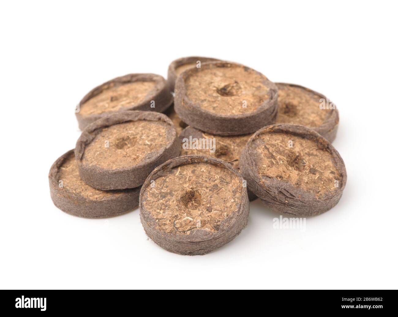 Stapel von Saatgut, das Torfpellets anfängt, isoliert auf Weiß Stockfoto
