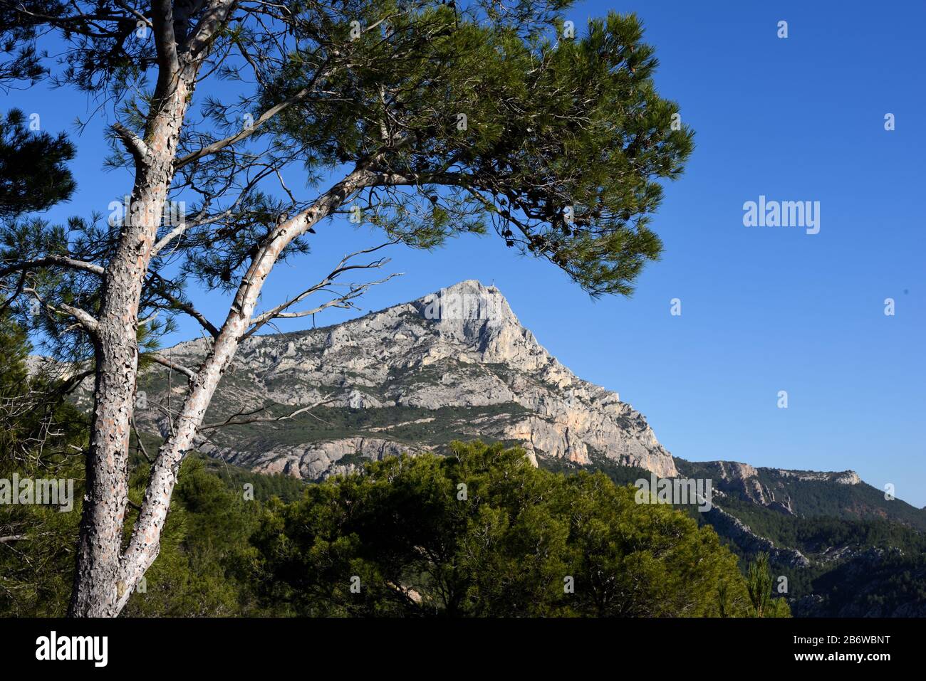 Die Dreiecksform des Berges "Mont-Sainte-Victoire", umrahmt von einem einzigen Kiefernbaum in der Nähe von Aix-en-Provence, Provence, Frankreich Stockfoto