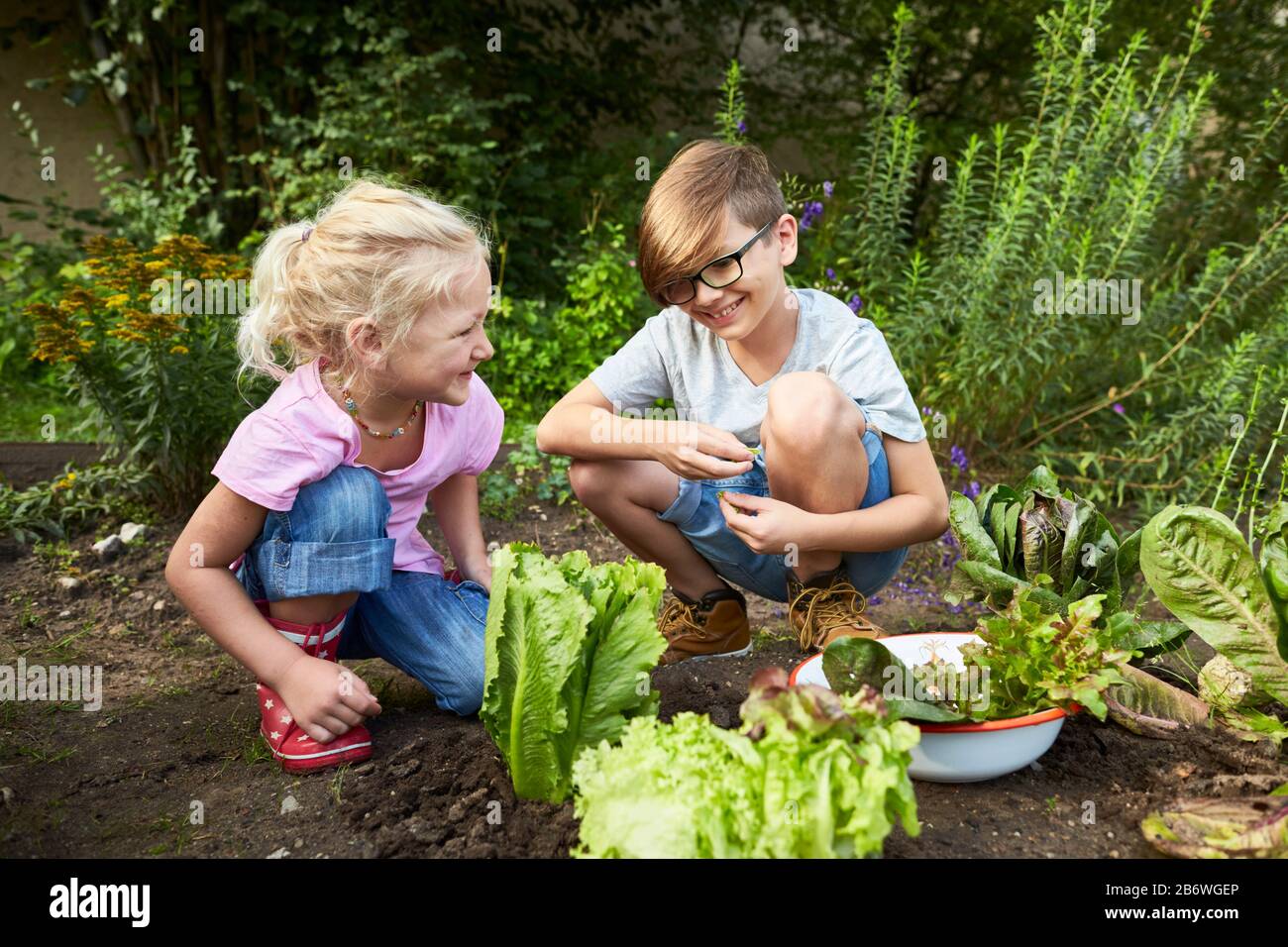 Kinder, die Lebensmittel untersuchen. Serie: Salatsuppe kochen, Salat ernten. Lernen nach dem Reggio-Pädagogik-Prinzip, spielerisches Verständnis und Entdeckung. Deutschland Stockfoto