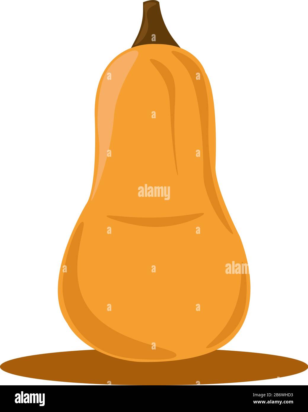 Kürbis, Illustration, Vektor auf weißem Hintergrund. Stock Vektor