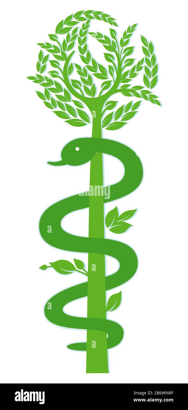 Aesulapischer Stab, Mast des Asclepius - Illustration Stockfoto