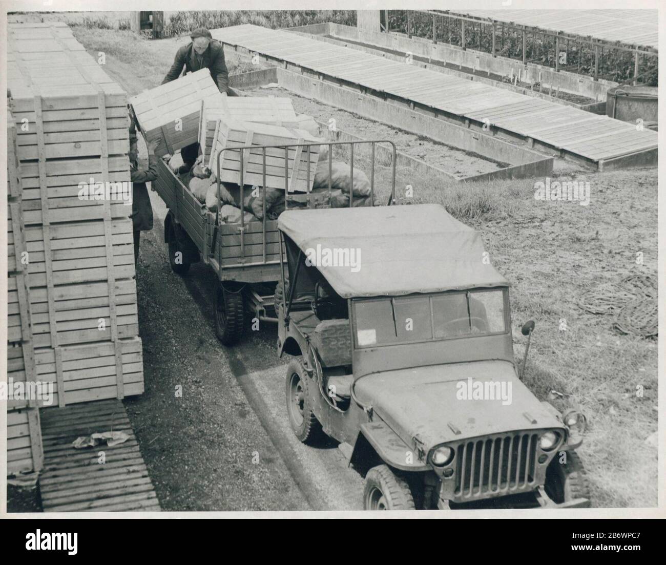 Jeeps uit de USA Hulp uit USA (serietitel) Ehemalige Jeeps der US Army werden für den Transport von Arbeitern und Tulpenbollen verwendet. Hersteller : Fotograf: United States Information Service Ort Herstellung: Niederlande Datum: 1946 - 1947 Material: Papiertechnik: Fotografie Abmessungen: 24 cm b. H × 19 cm. Thema Wann: 1945 - 1947 Stockfoto