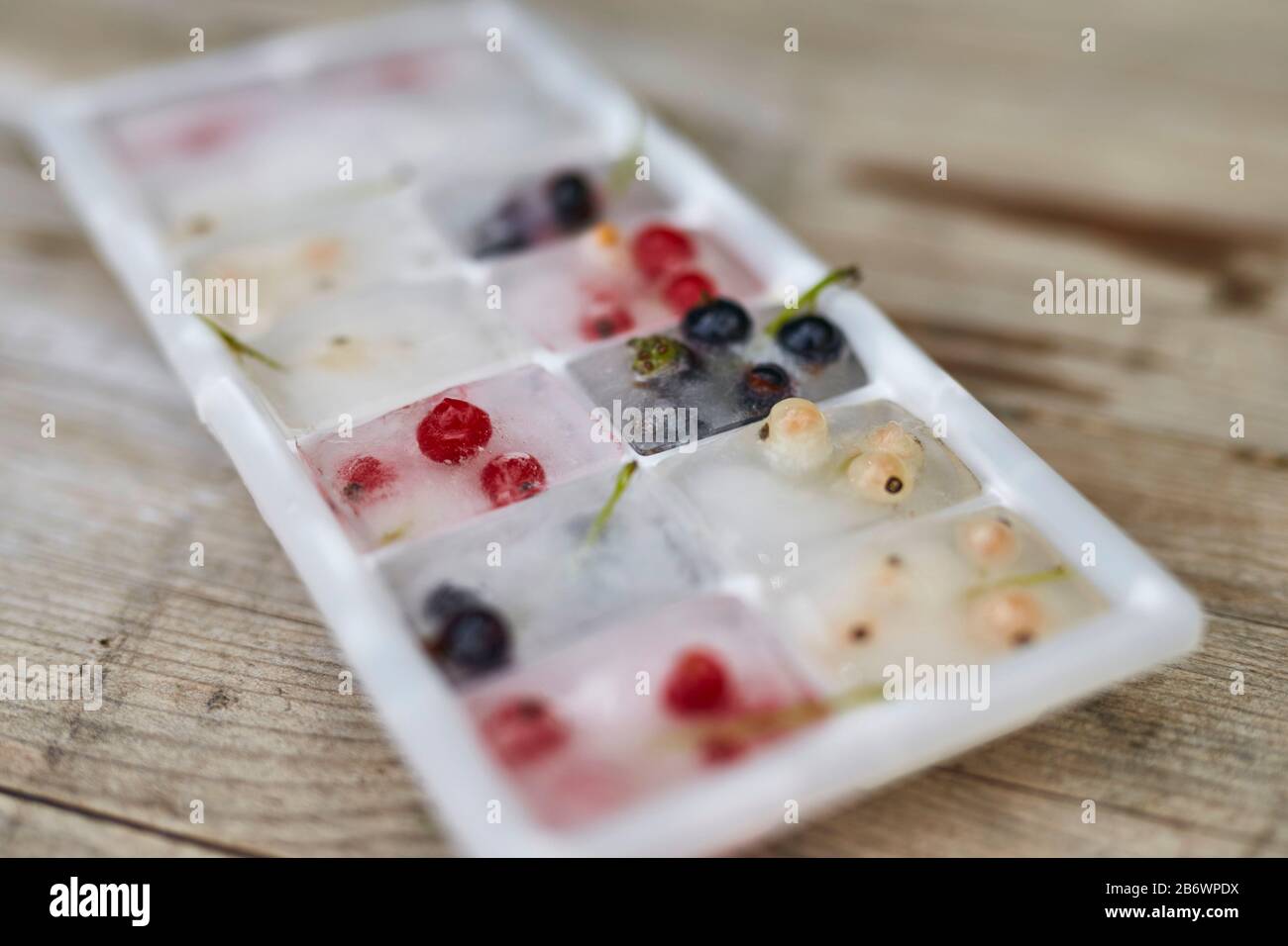 Kinder, die Lebensmittel untersuchen. Serie: Vorbereitung von Eiswürfeln mit gefrorenen Früchten. Lernen nach dem Reggio-Pädagogik-Prinzip, spielerisches Verständnis und Entdeckung. Deutschland. Stockfoto