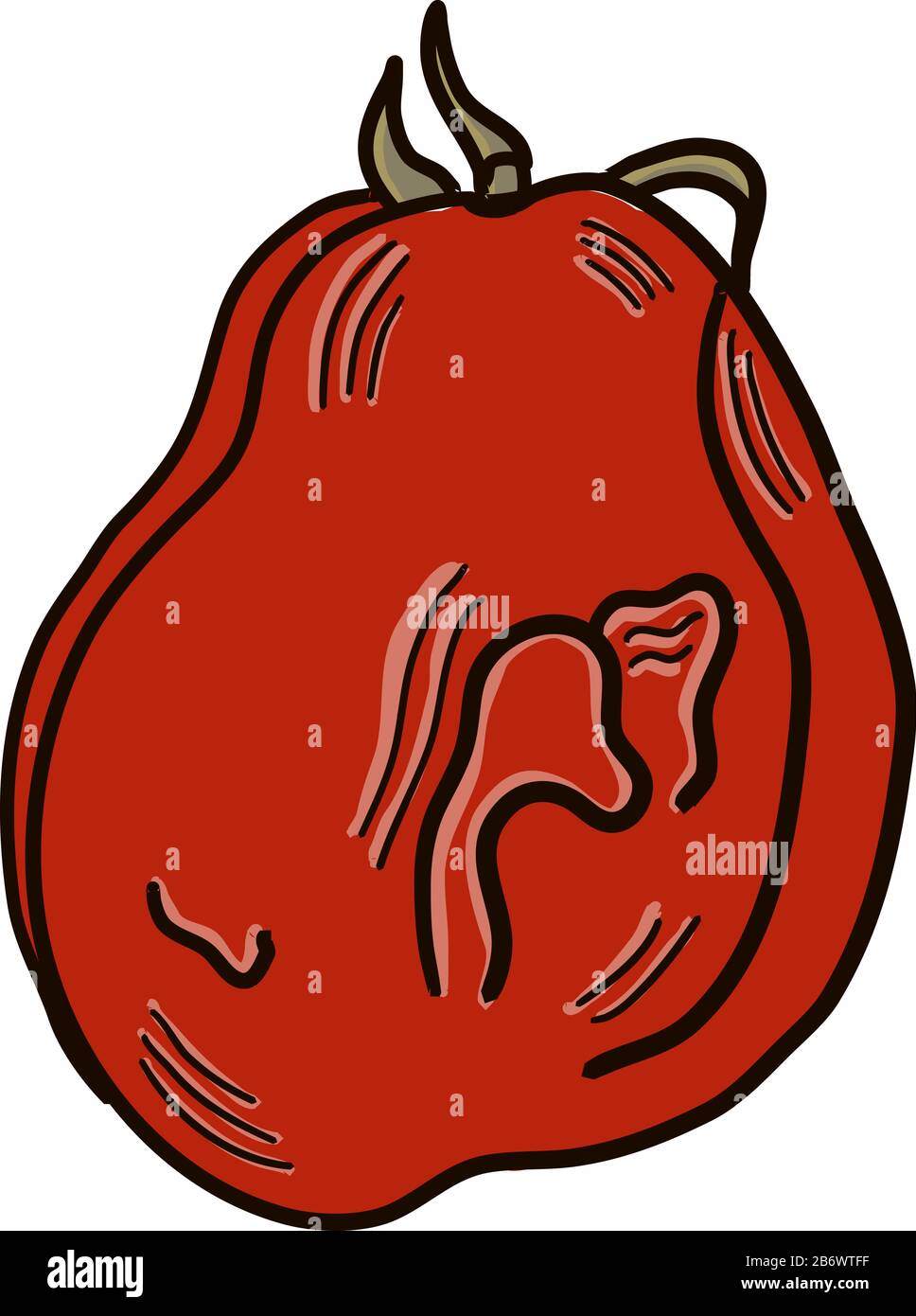 Tomaten-Rotten, Illustration, Vektor auf weißem Hintergrund. Stock Vektor