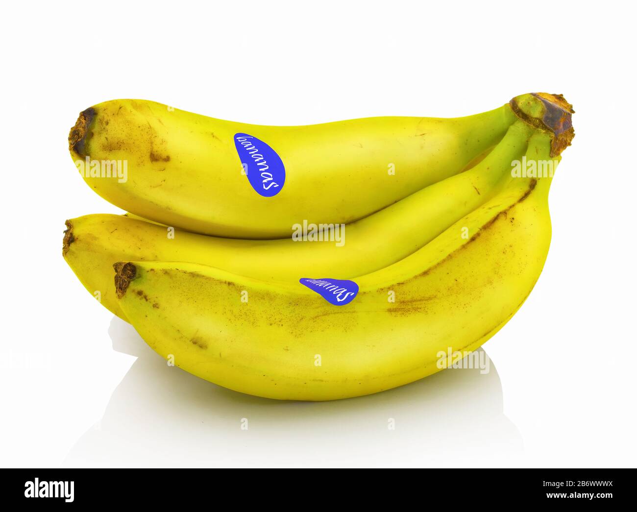 Bananenbündel aus dem Geschäft. Mit fiktivem Logo auf Etiketten. Isoliert auf weißem Hintergrund mit Spiegelreflexion. Mit Beschneidungspfad (Vektor). Stockfoto