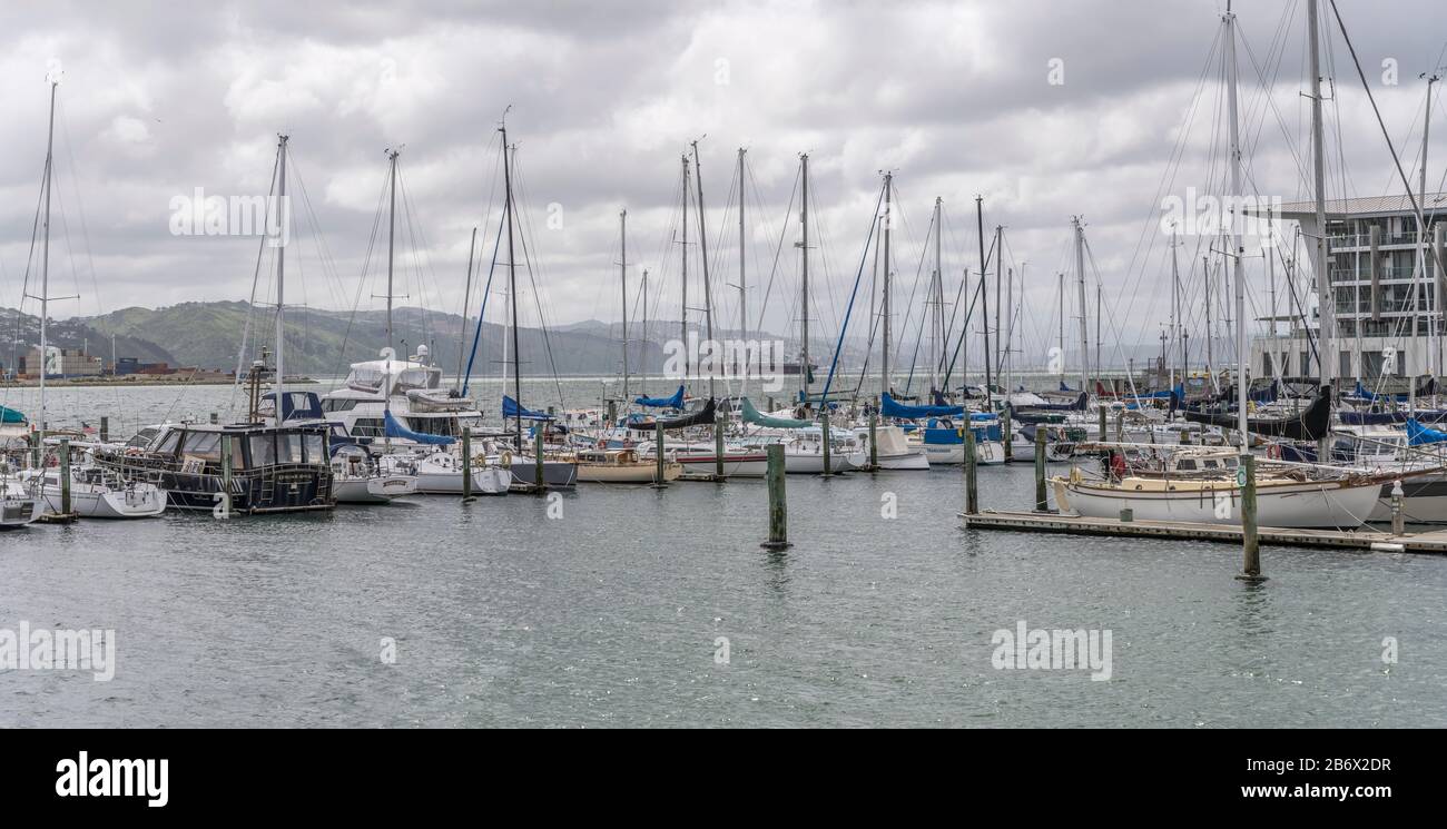 Wellington, NEUSEELAND - 13. November 2019: Stadtbild mit Segelbooten an den Kais des Freizeithafens an der Orient-Bucht, in hell bewölktem Quelllicht angeschossen Stockfoto