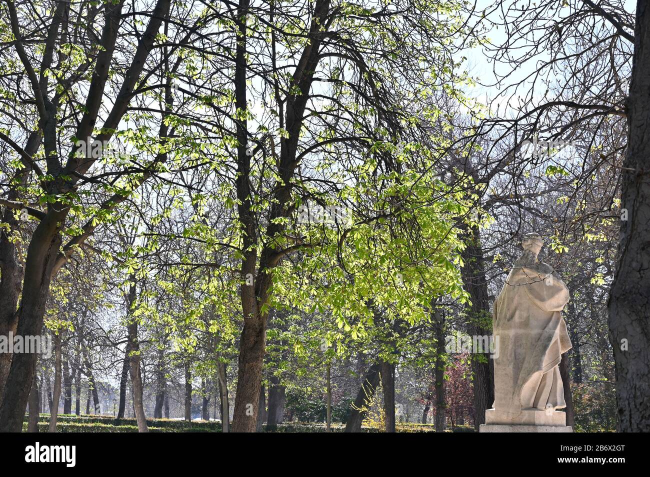 Bäume und Pflanzen erwarten die Ankunft des Frühlings in den öffentlichen Parks von Madrid Stockfoto