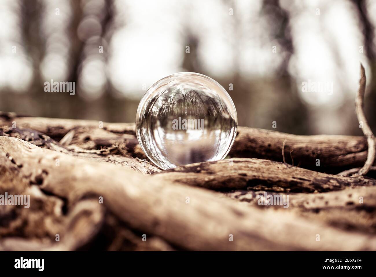 Lensball in die Vorderlehne mit Reverse auf ihr Stockfoto