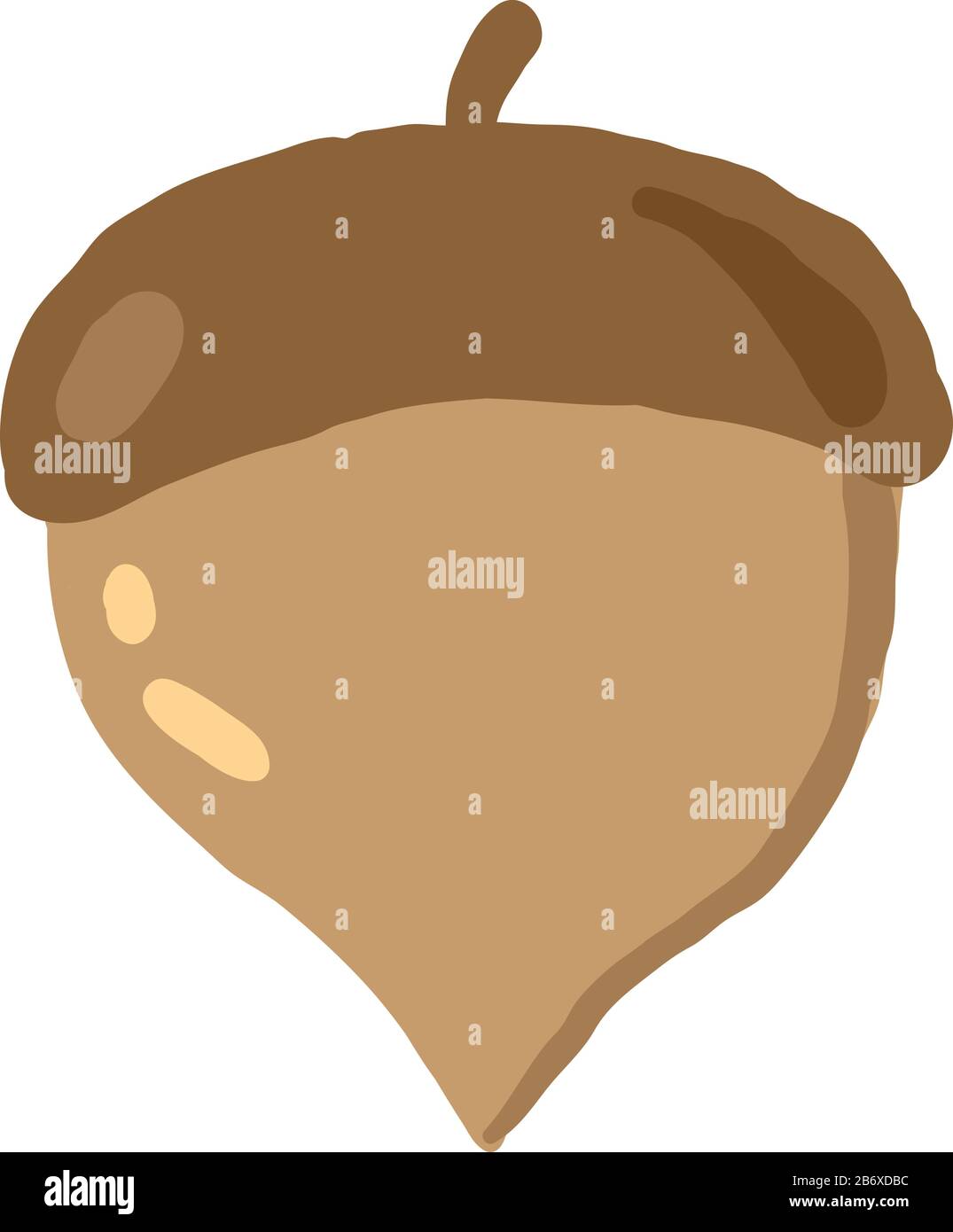 Flache Akorn, Abbildung, Vektor auf weißem Hintergrund. Stock Vektor Flache Akorn, Abbildung, Vektor auf weißem Hintergrund. Stock Vektor