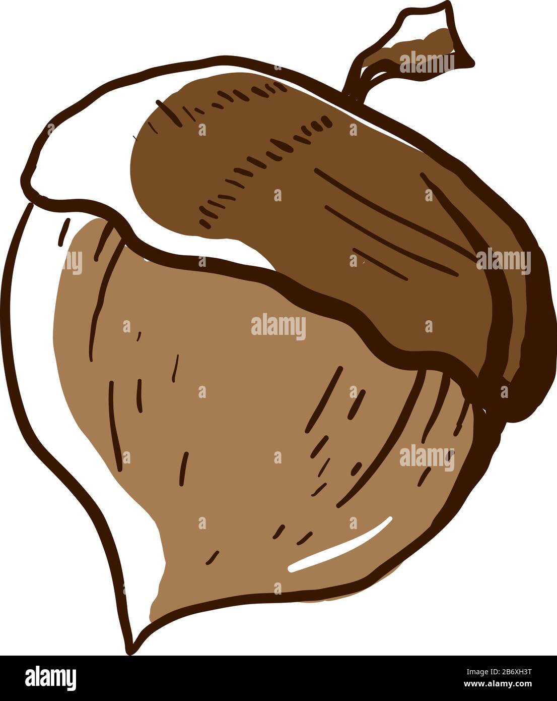 Acorn-Zeichnung, Abbildung, Vektor auf weißem Hintergrund. Stock Vektor