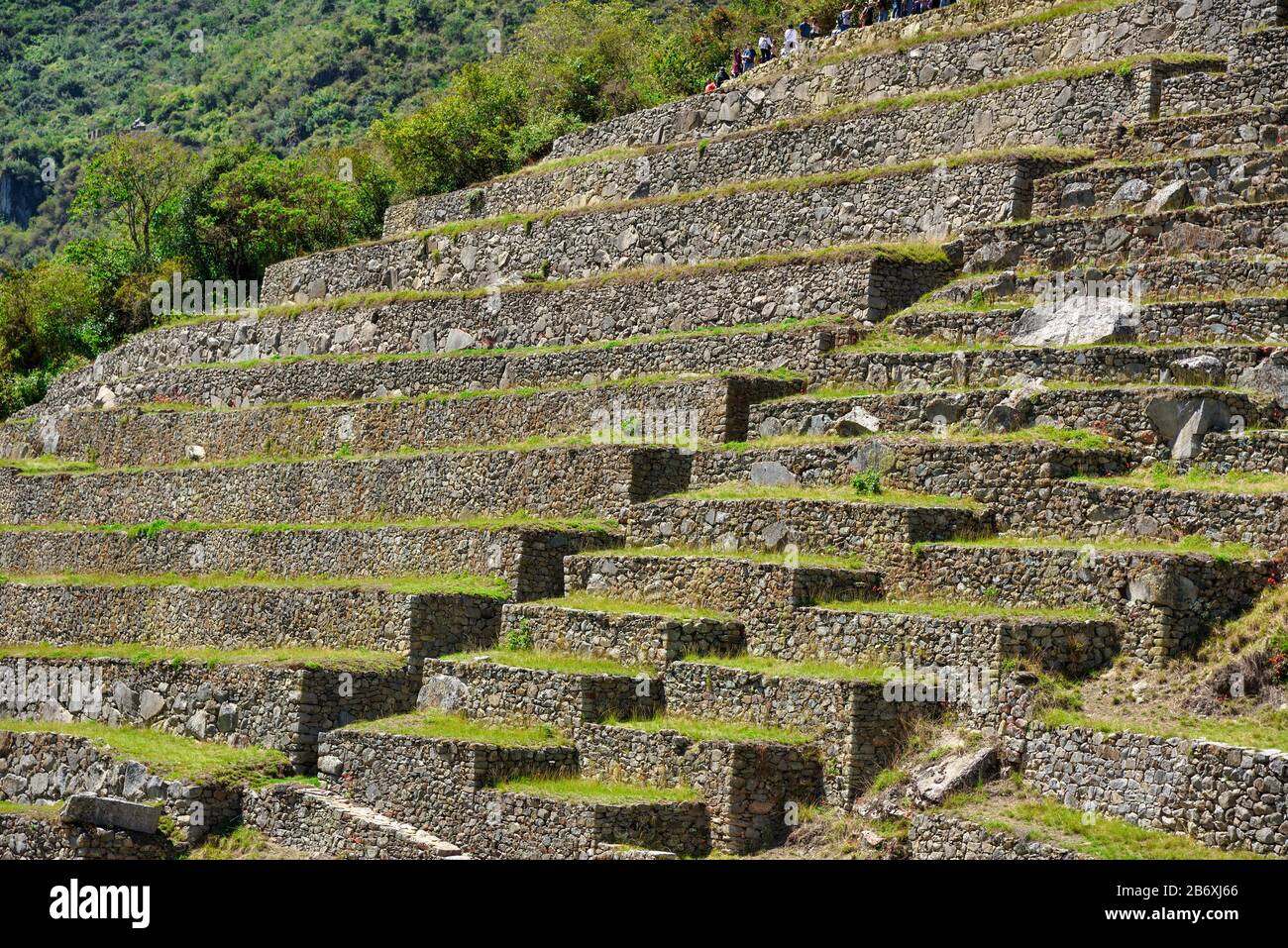 Blick auf die Terrassen von Machu Picchu in der Nähe von Cusco, Peru. Machu Picchu ist eine peruanische historische Heiligtum. Stockfoto