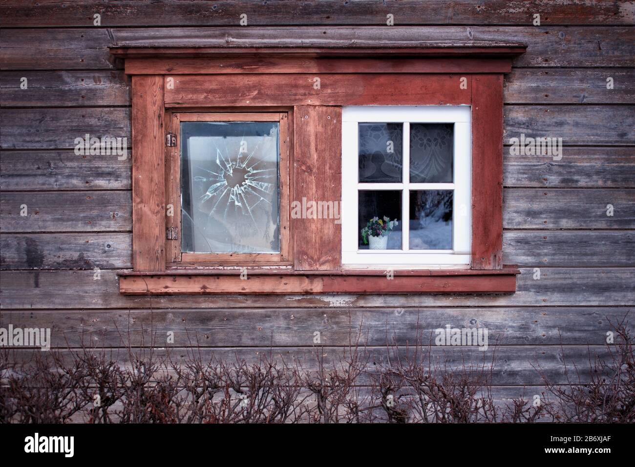 Das alte und das neue. Zwei alte Fenster in der Wand des alten lettischen Holzhauses. Stockfoto