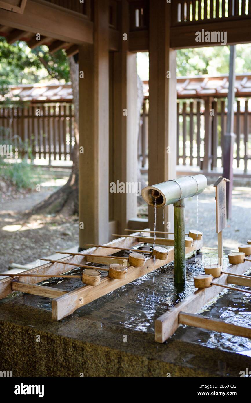 Chōzuya oder Temizuya (手水舎), ein Shinto-Wasserpavillon für einen zeremoniellen Reinigungsritual, bekannt als Temizu, Meiji Jingu, Shinjuku, Tokio, Japan. Stockfoto