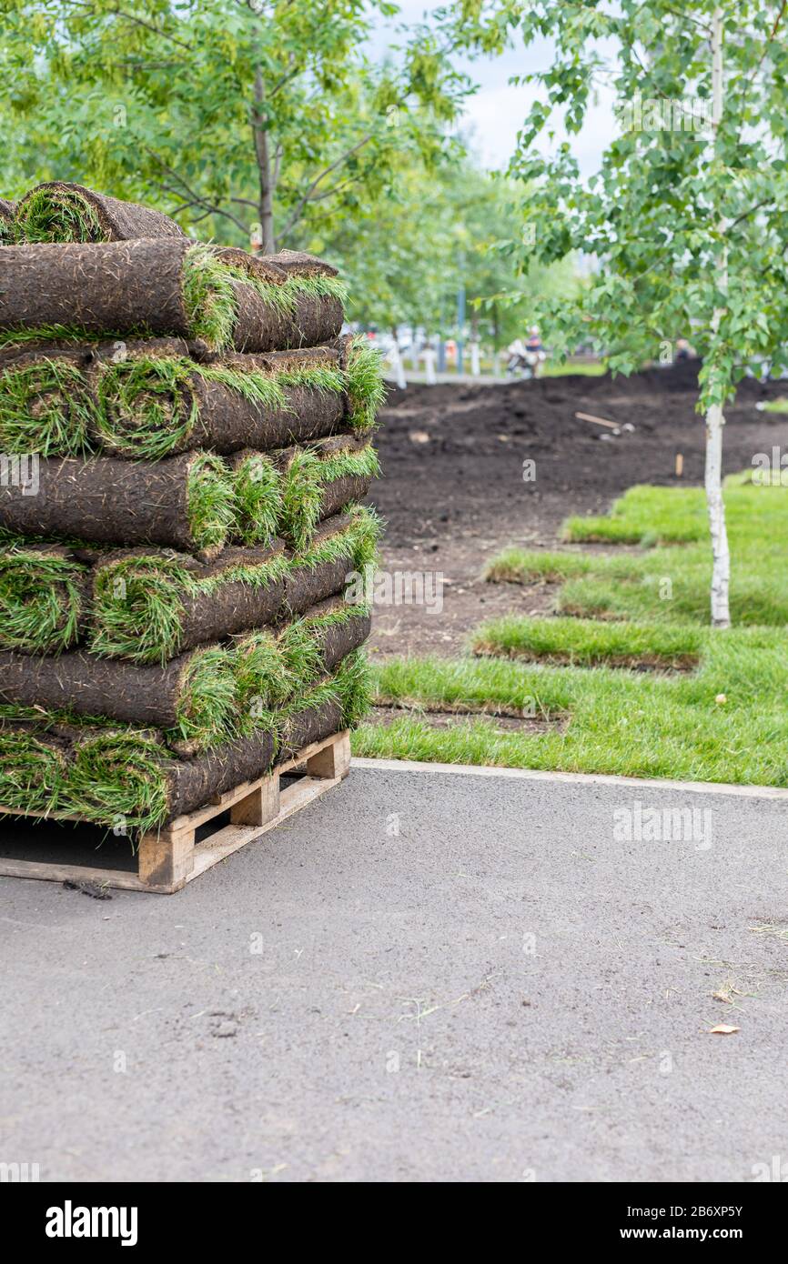 Stapel von Sodenrollen für neue Rasenflächen für den Landschaftsbau. Rasengras in Rollen auf Paletten gegen die Straße, rolled Gras Lawn ist bereit zum Verlegen. Stockfoto