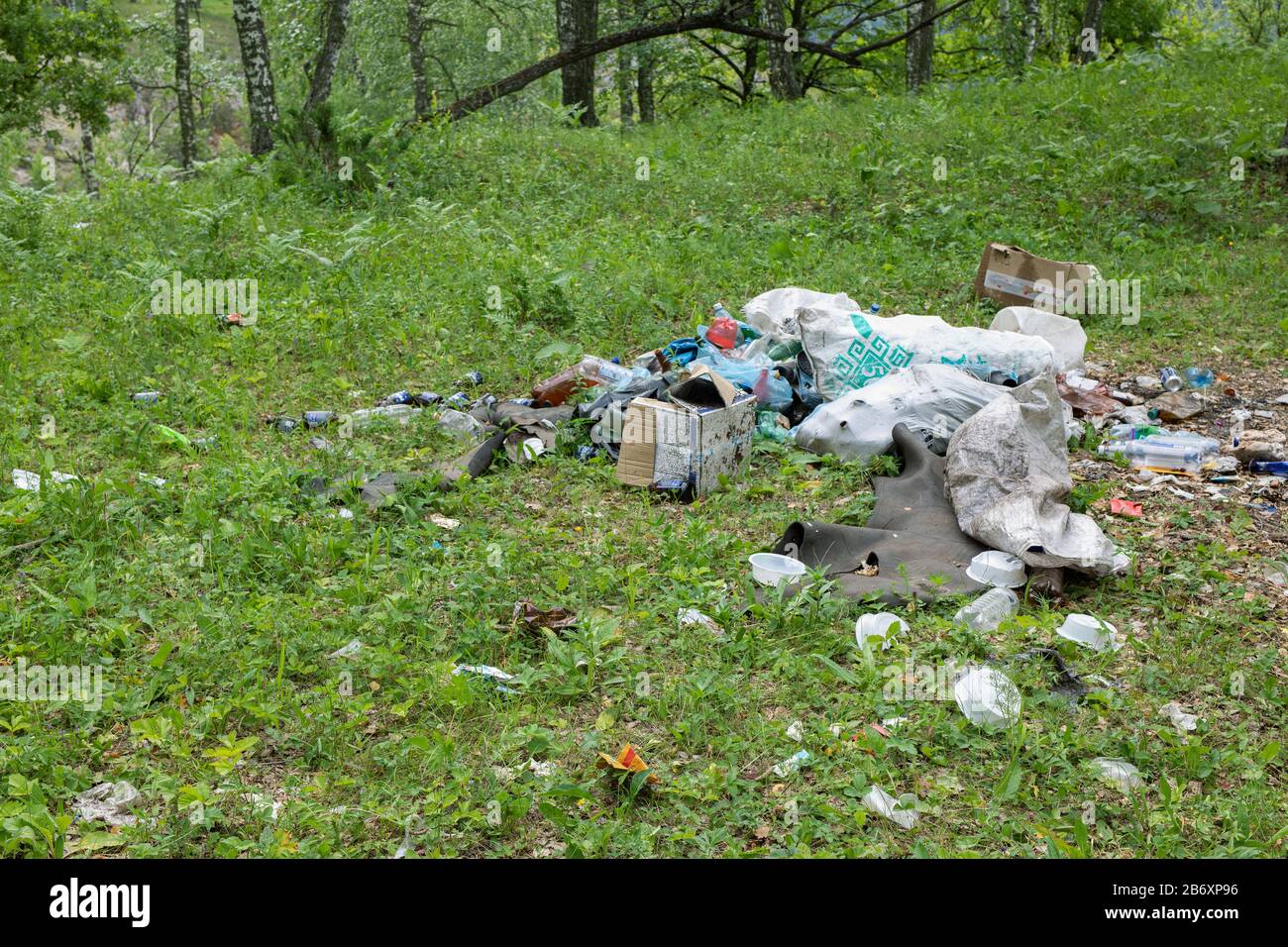 Müllhalde in Wald. Konzept für Kunststoff- und Lebensmittelabfälle. Stockfoto