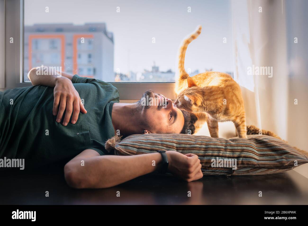 Der junge Mann liegt auf einem Kopfkissen unter dem Fenster. Tabby-Katze nähert sich dem Kopf des Mannes und schnüffelt ihn Stockfoto