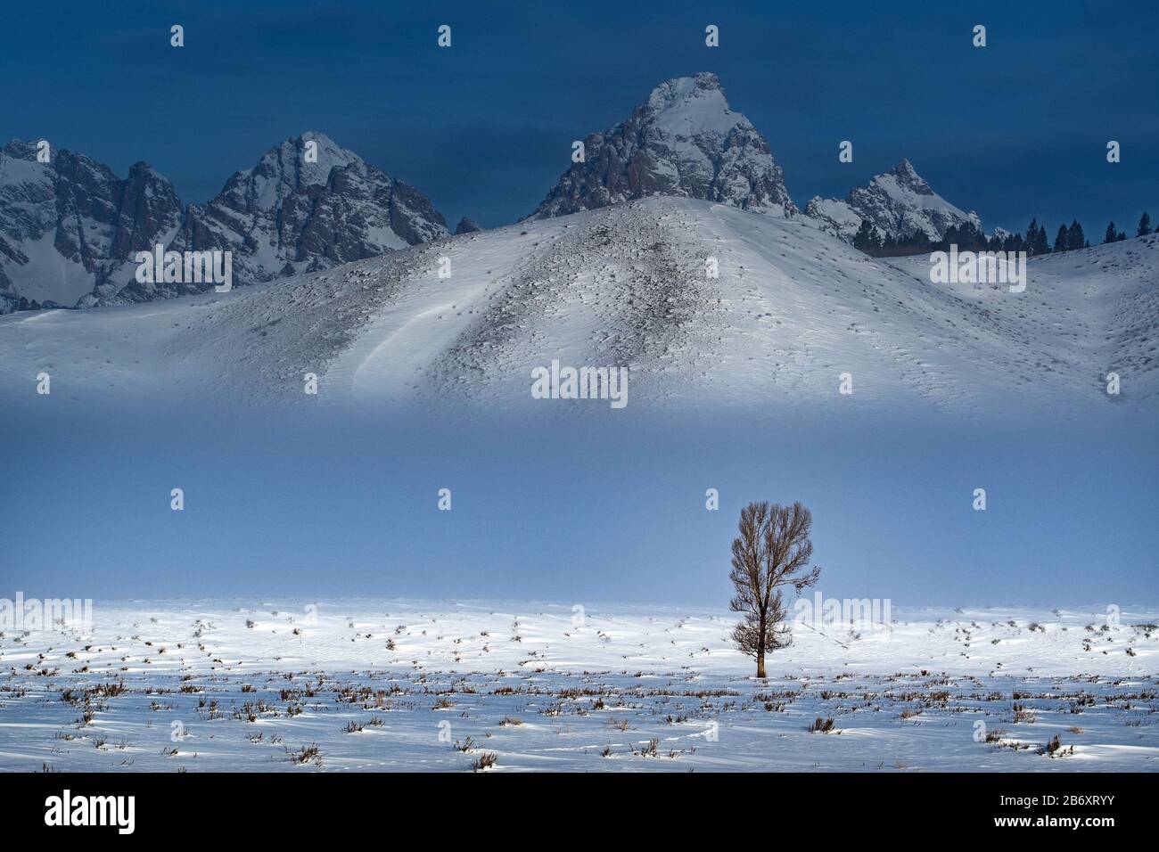 USA, Rocky Mountains, Wyoming, Grand Teton, Nationalpark Stockfoto