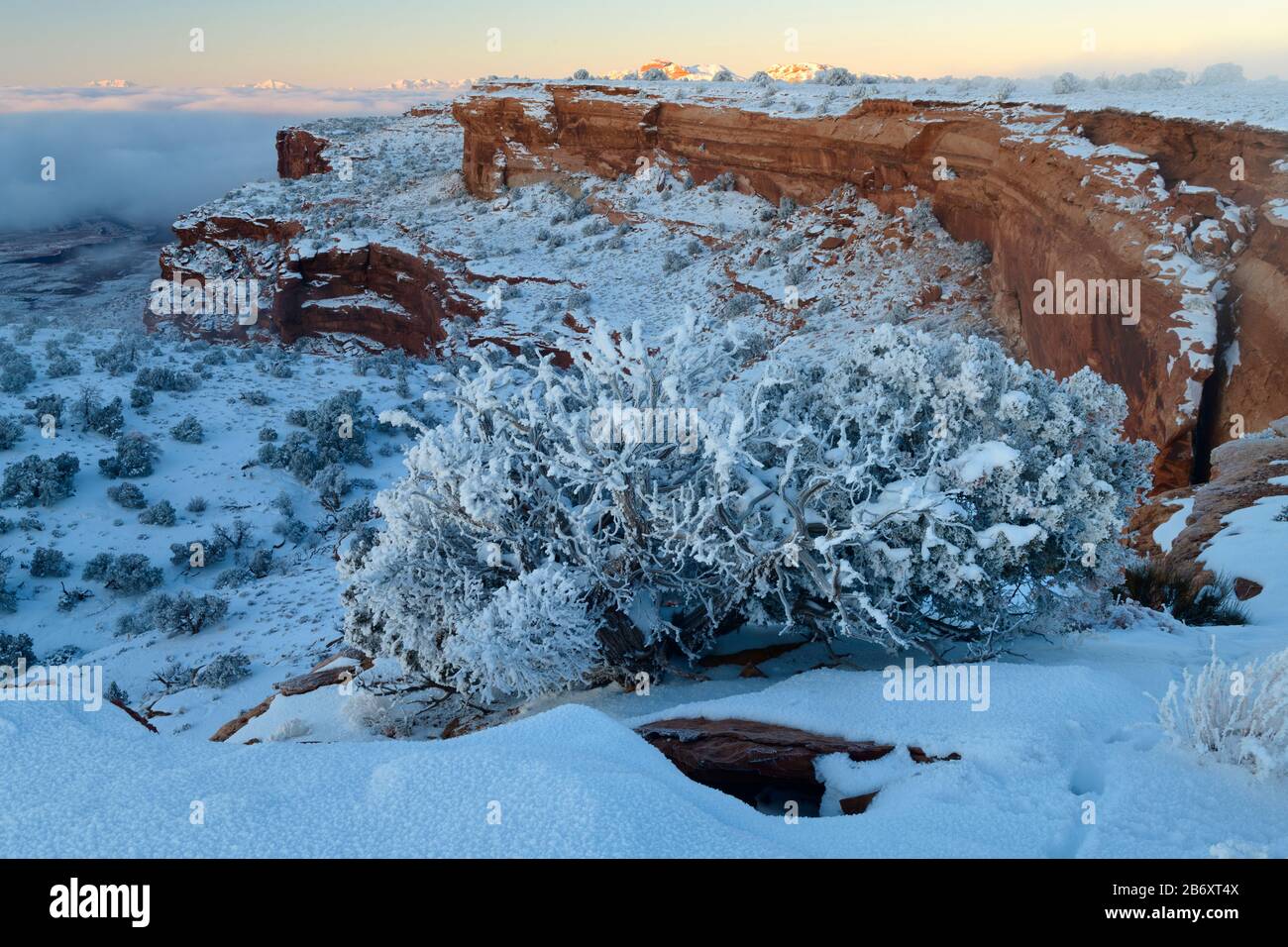 USA, Southwest, Utah, Moab, Canyonlands National Park, Island in the Sky, Henry Mountains, Stockfoto