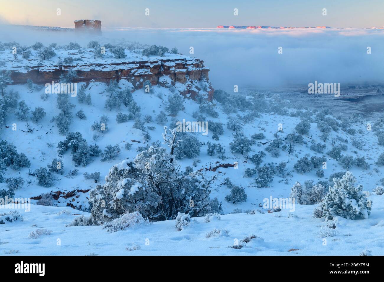 USA, Southwest, Utah, Moab, Canyonlands National Park, Island in the Sky, Stockfoto