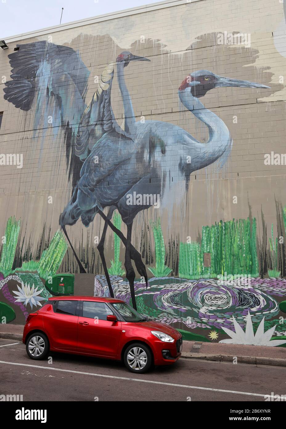 Graffiti in Darwin, Northern Territory, Australien Reise - Darwin Graffiti - - - Darwin - Northern Territory - Australien - 29. Dezember 2019. © J Stockfoto