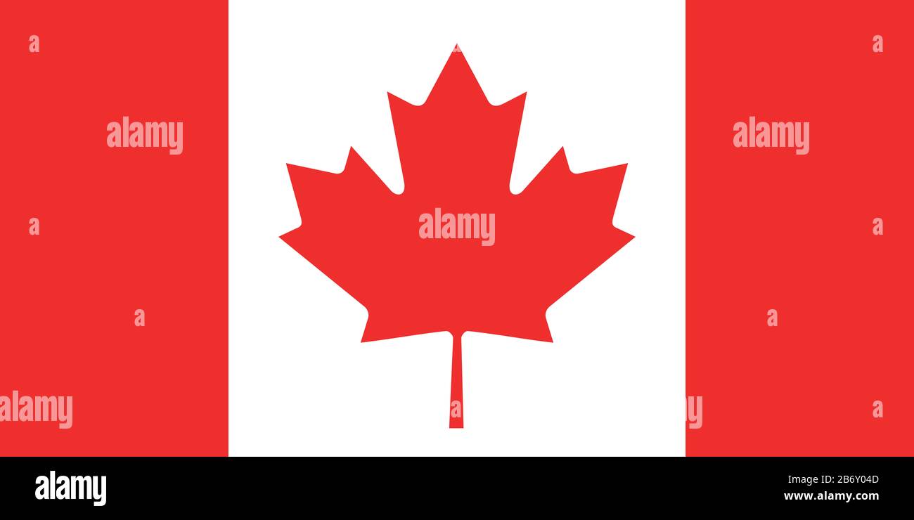 Flagge Kanadas - Standardverhältnis der kanadischen Flagge - True RGB-Farbmodus Stockfoto