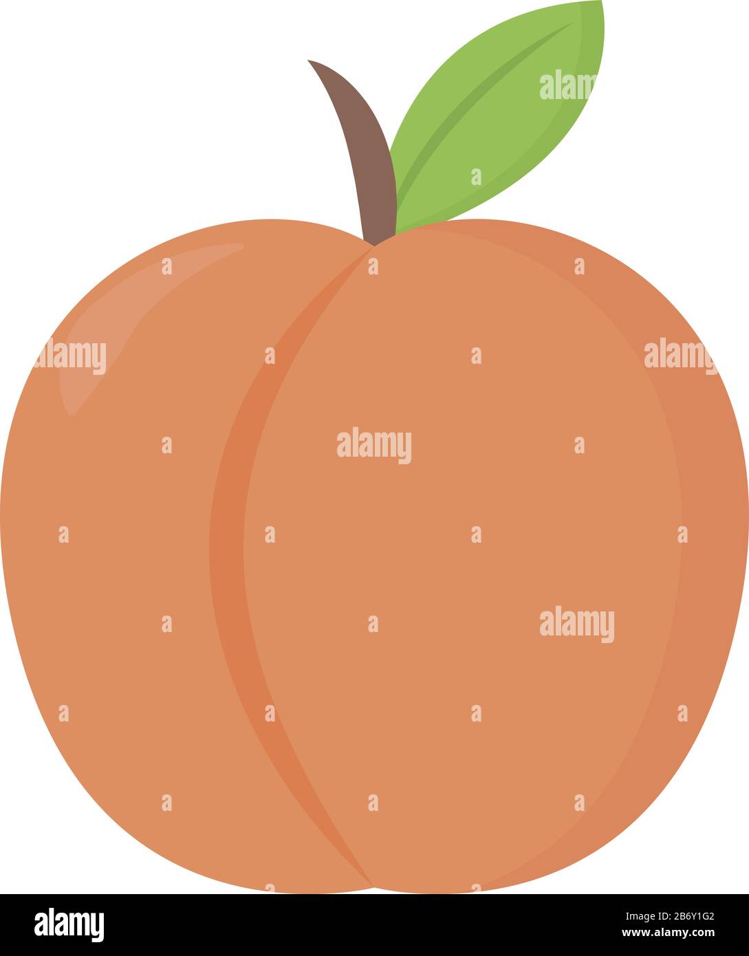 Frischer Pfirsich, Illustration, Vektor auf weißem Hintergrund. Stock Vektor