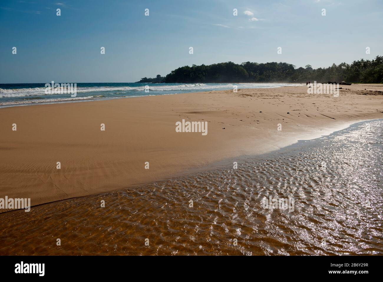 Sri Lanka, Südprovinz, Sud du Sri Lanka, Süd Sri Lanka, Süd-Sri Lanka, Talalla, Plage, Strand, palmier, palme, Palmen Stockfoto