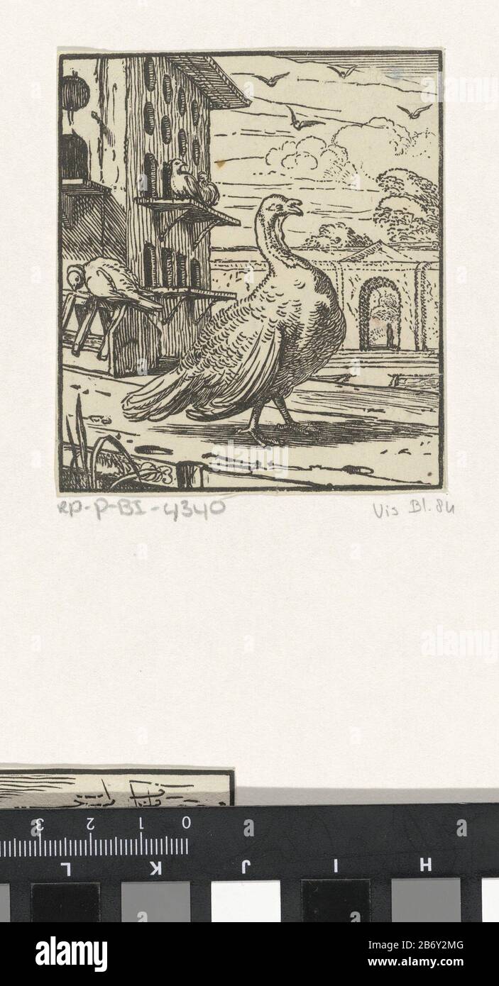 Kalkoen Versillede vogelsoorten (serietitel) Kalkoenverschillende vogelsoorten (serietitel) Objekttyp: Prent Serienummer: 4/6Vis Blokhuyzen 84 / Merken: 240 Catalogusreferentie: Hollstein Dutch 84Vis Blokhuyzen 84 / Merken: Spokenman: 1660 Inside: Inside: Inside of Levertillay: Inside: Inside of moutland: Inside: Inside: 1660 Mouther Mouther Mount: Inside: Inside: Inside: Insibillay: Insibillay Inside: 1660 Papier Techniek: Houtsnede Abmessungen: Blad: H 87 mm × b 76 mmToelichtingDe vogel ist gedetermineerd als zijnde een kalkoen, maar in de literatuur over De Stockfoto