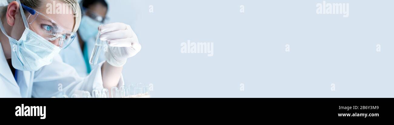 Panorama Frau medizinische oder wissenschaftliche Forscherin oder Ärztin mit Gesichtsmaske und Blick auf ein Reagenzglas in einem Labor mit ihrem asiatischen Kollegen o Stockfoto