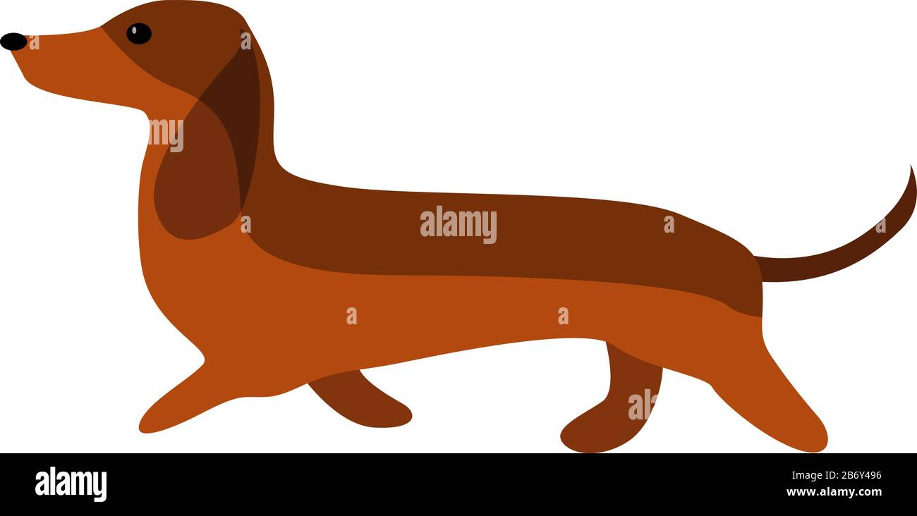 Brauner Dachsund, Abbildung, Vektor auf weißem Hintergrund. Stock Vektor