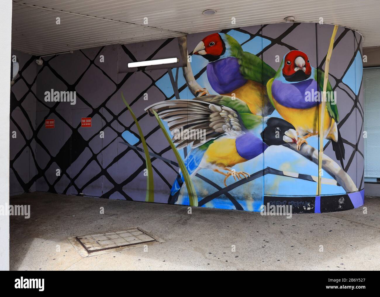 Graffiti in Darwin, Northern Territory, Australien Stockfoto