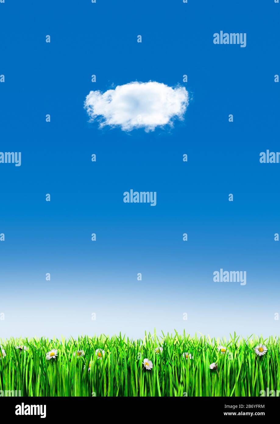 Wolke isoliert in blauen Himmel. Rand von Gras mit Gänseblümchen. Platz für Text. Stockfoto