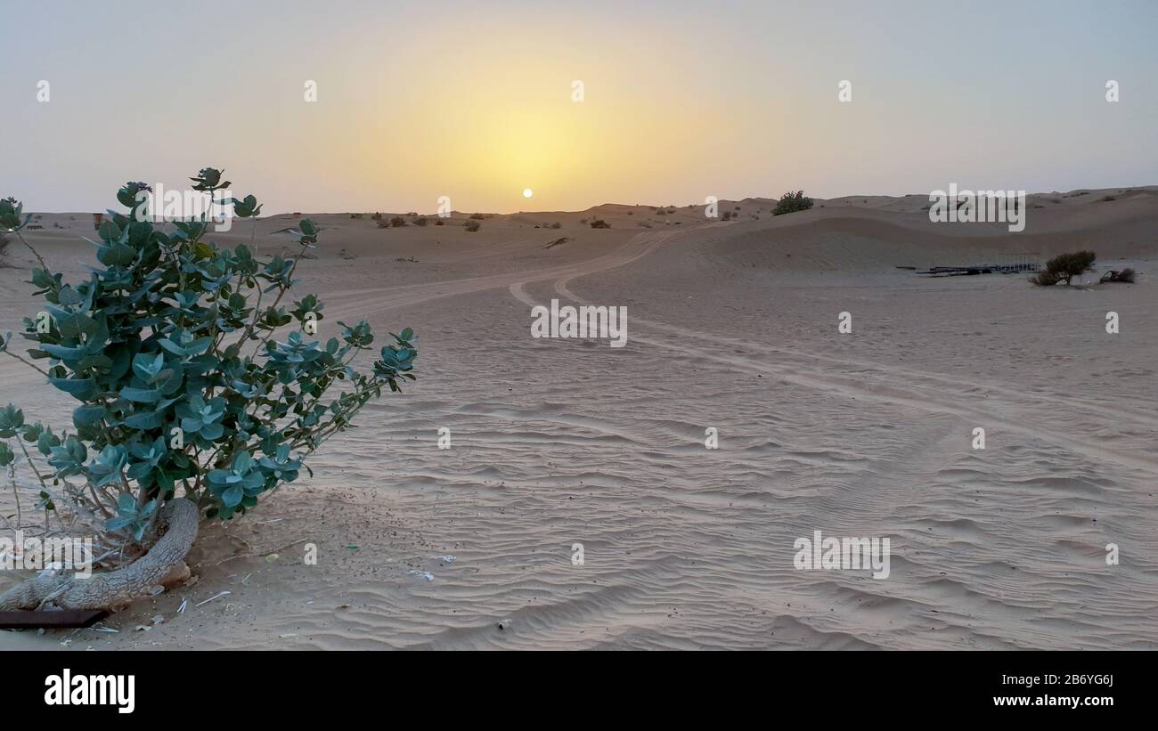 Sonnenuntergang in der Wüste im heißen Emirat von Dubai Stockfoto