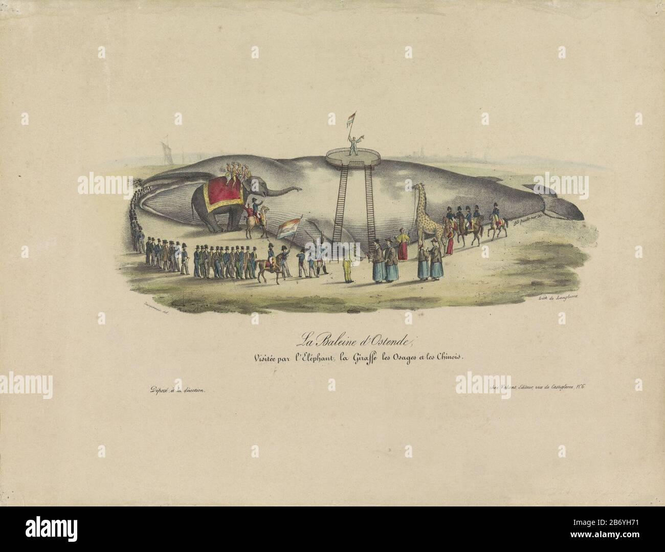 Cartoon auf Touren Herman Kessels The Ostend beauerte Wal November 1829. Kessels auf dem Wal wa eine Fahne stehend, sehen vier Osage-Indianer den Wal auf einem Elefanten sitzen, vier Chinesen werden im Vordergrund empfangen. Rechte Giraffe, linke eine Reihe mit Zoofunktion. Hersteller: Druckmaschine: Jacquemain (denkmalgeschütztes Eigentum) entworfen von: Jacquemain (denkmalgeschütztes Gebäude) Drucker: Pierre Langlumé (denkmalgeschütztes Gebäude) Herausgeber: Valant (denkmalgeschütztes Eigentum) Ort Herstellung: Paris Datum: 186 Physische Merkmale: Lithographie, handfarbenes Material: Papiertechnik: Lithographie (Technik) / Handfarbenmessungen: Blatt: H Stockfoto