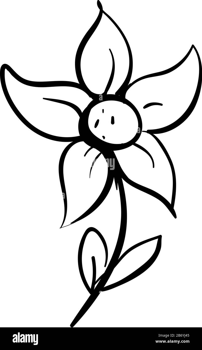 Blume Zeichnen, Illustration, Vektor auf weißem Hintergrund. Stock Vektor