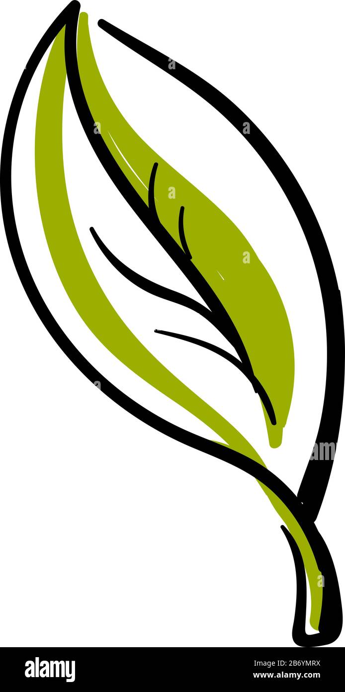 Grüne Lamellentätowierung, Abbildung, Vektor auf weißem Hintergrund. Stock Vektor