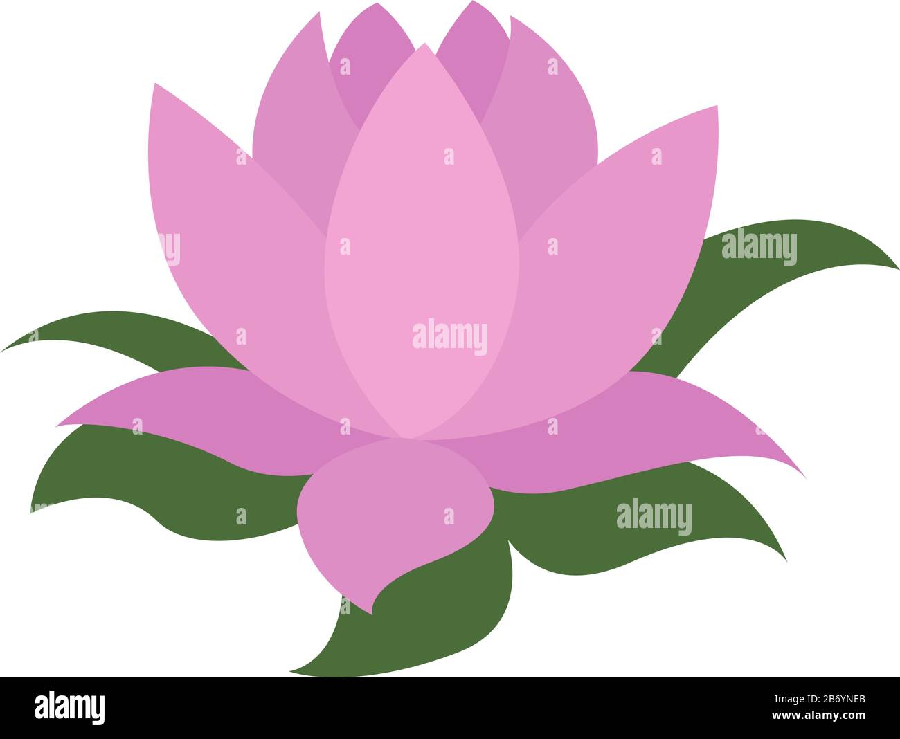 Lotus Flower, Illustration, Vektor auf weißem Hintergrund. Stock Vektor