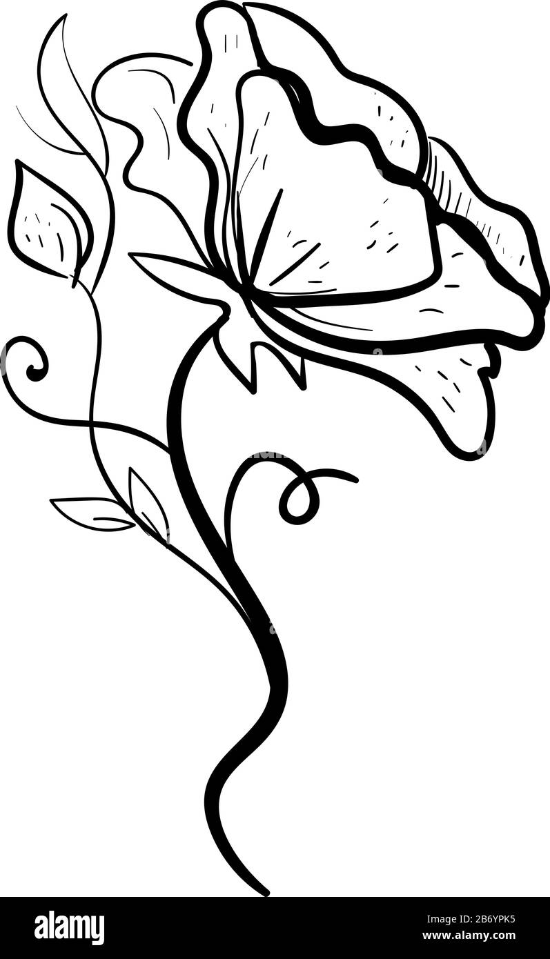 Blume Zeichnen, Illustration, Vektor auf weißem Hintergrund. Stock Vektor