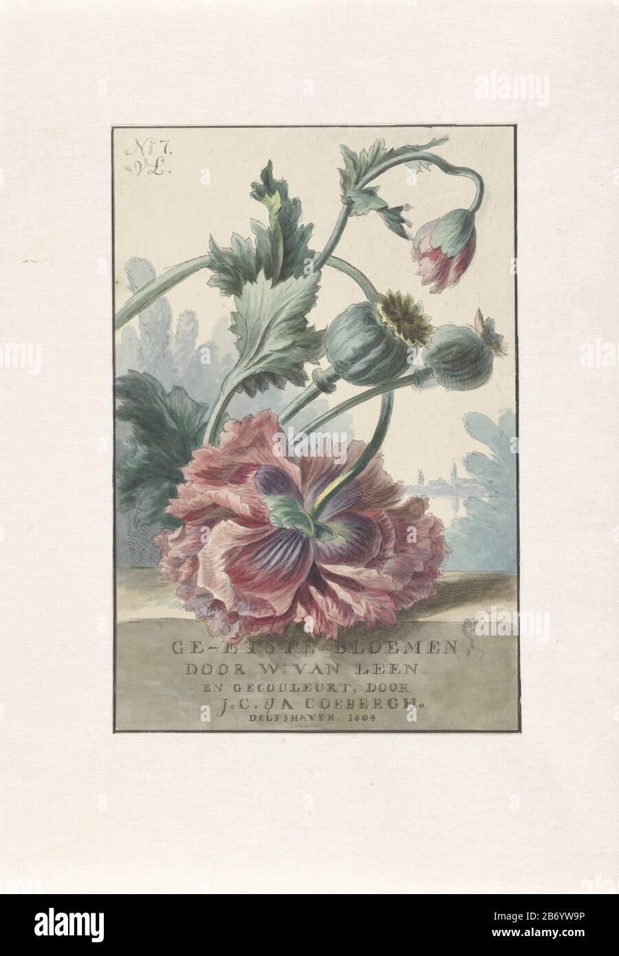 Klaprozen Titelpent voor W van Leen en JC & ja Coebergh, Ge-etste Bloemen, Blumenstudie von Mohn aus dem Jahr 1804. Der Druck ist Teil einer Serie von Drucken mit Szenen verschiedener Blumen. Druck oben links markiert: Nr. 7. Hersteller : Druckerhersteller Willem van Leen (denkmalgeschütztes Gebäude) Colorist: J.C. Coebergh (angegeben am Objekt) Datum: 1804 Körperliche Merkmale: Radierung, mit dem handfarbenen Material: Papiertechnik: Radierung / Handfarbenmessungen: Blatt: H 218 mm × W 146 mmToelichtingPrent abgeleitet von: GE-geätzte Blumen, von W. van Leen und Gecouleurt von JC & YES. Coebergh. Delfshaven Im Jahr 1804. Betreff: FL Stockfoto