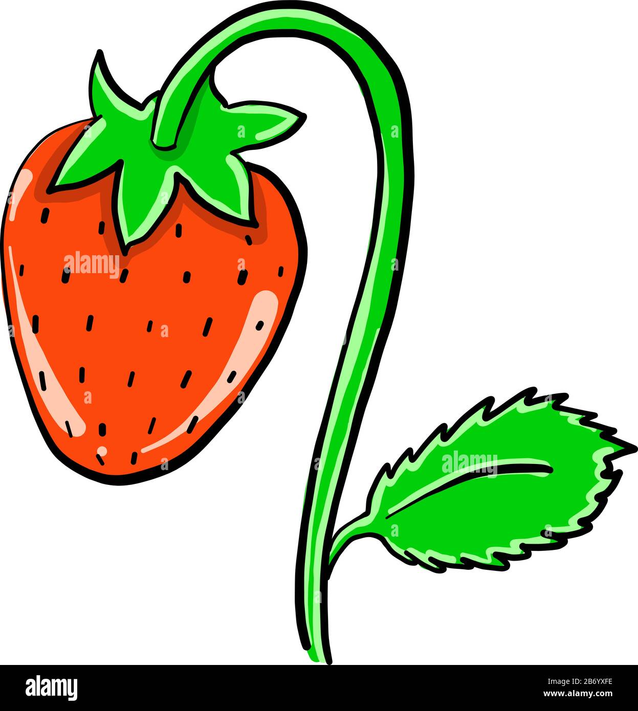 Erdbeere vom Boden, Abbildung, Vektor auf weißem Hintergrund. Stock Vektor