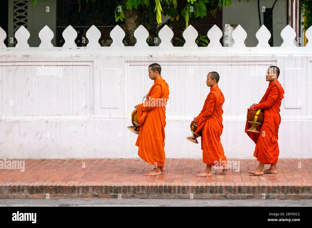 Buddhistischen Novizen Line-up empfangen Almosen (Tak Bat) in der Morgendämmerung, Luang Prabang, Louangphabang Provinz, Laos Stockfoto