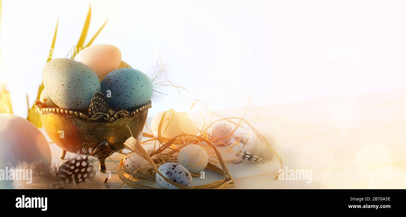 Kunst Osterfeiertag Banner oder Grußkarte Hintergrund; Easter Eggs Korb und Vogelfeder auf sonnigen Holzhintergrund; Stockfoto